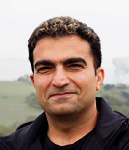 Picture of Bahram Dahi
